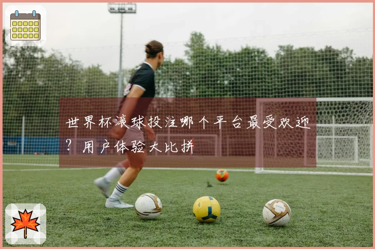 世界杯滚球投注哪个平台最受欢迎？用户体验大比拼
