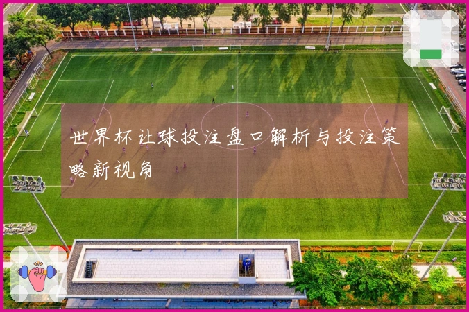 世界杯让球投注盘口解析与投注策略新视角