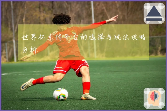 世界杯竞猜平台的选择与玩法攻略分析
