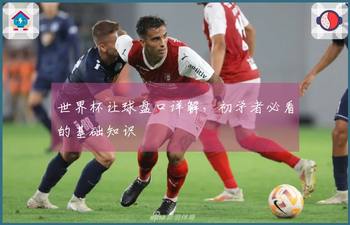世界杯让球盘口详解,初学者必看的基础知识